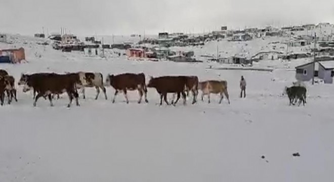  Kar etkili oldu, Yaylacıların dönüş dönemi başladı